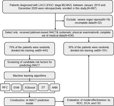 Machine Learning-Assisted Ensemble Analysis for the Prediction of Response to Neoadjuvant Chemotherapy in Locally Advanced Cervical Cancer